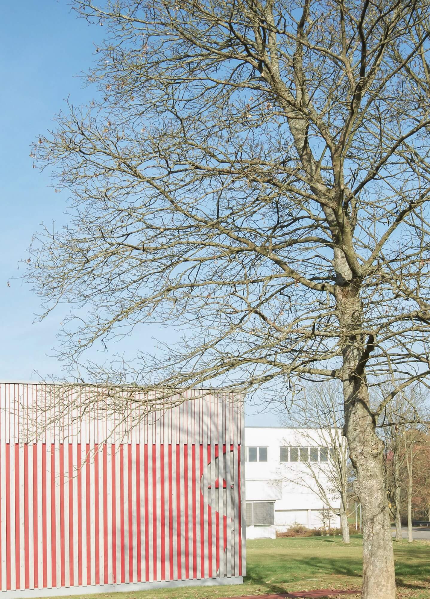 benedikt-stattler-gymnasium-bad-koetzting-5